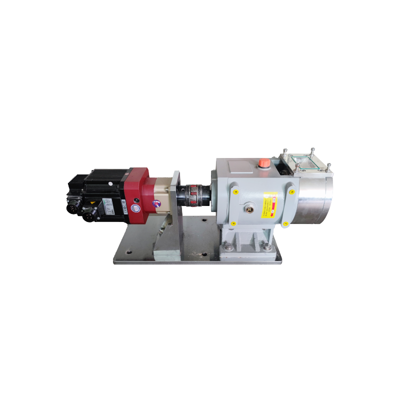 Rotor Pump
