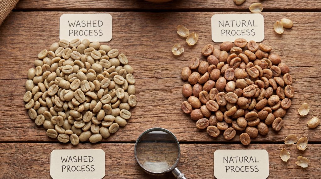 coffee_processing_comparison_visual