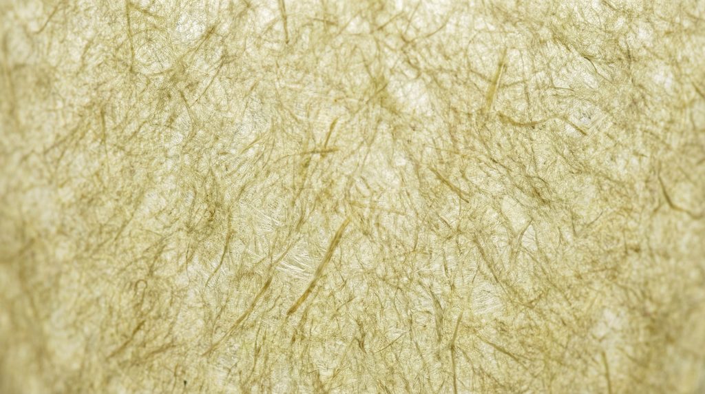 compostable_coffee_filter_macro