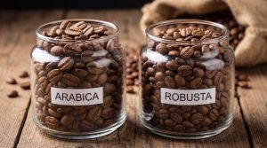 coffee_varietals_comparison_photography